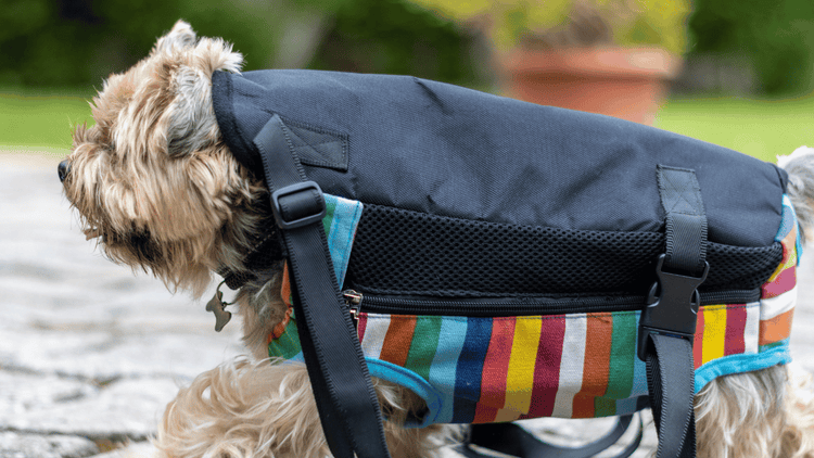 Backpacks - Adventure-Ready Gear for Your Pup & Dog