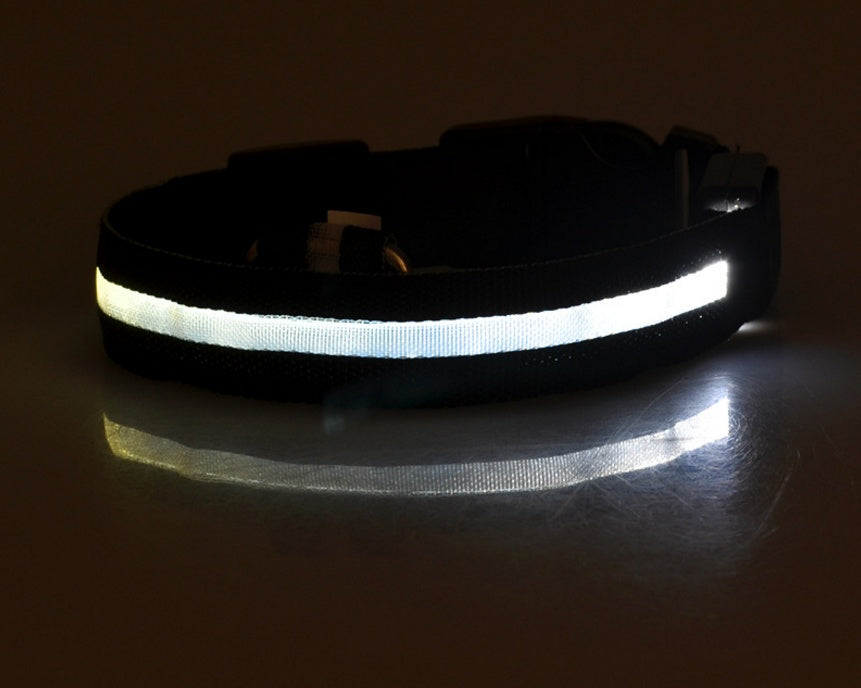 LED Dog Collar – Night Safety, Adjustable & Glow-in-the-Dark - Shop Happy Paws Now