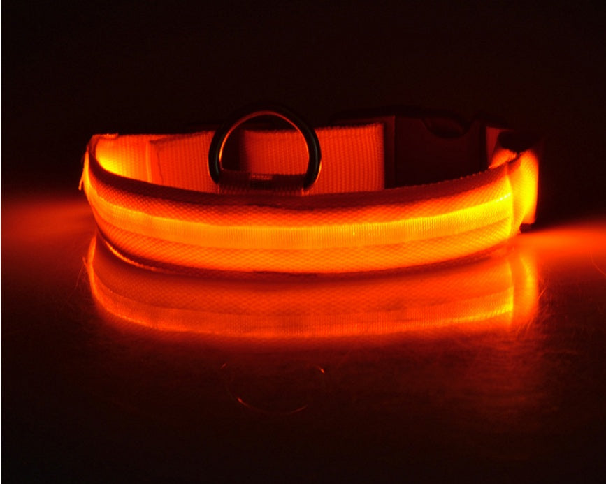 LED Dog Collar – Night Safety, Adjustable & Glow-in-the-Dark - Shop Happy Paws Now