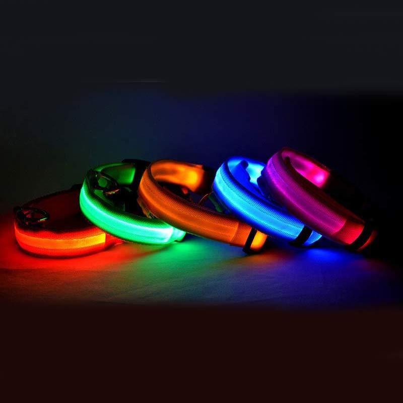 LED Dog Collar – Night Safety, Adjustable & Glow-in-the-Dark - Shop Happy Paws Now