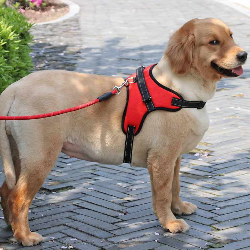 Reflective Dog Harness – Padded, Adjustable & Secure Fit - Shop Happy Paws Now