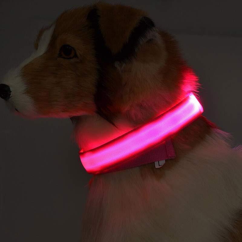 LED Dog Collar – Night Safety, Adjustable & Glow-in-the-Dark - Shop Happy Paws Now