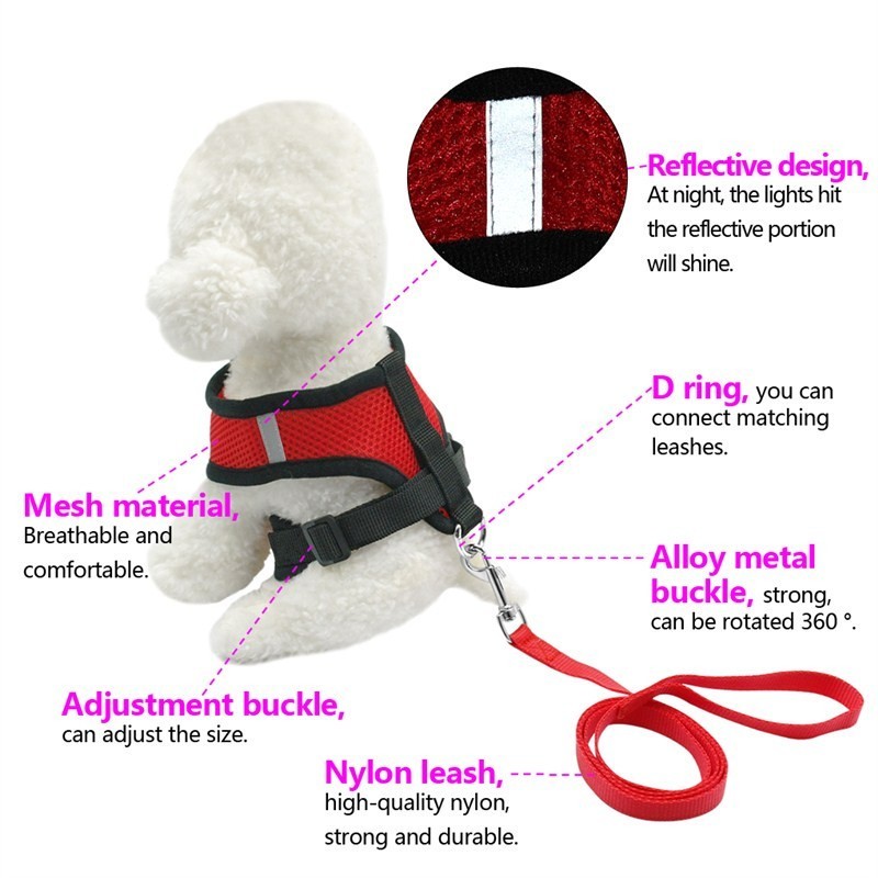 Adjustable Pet Car Seat Belt – Secure & Comfortable Travel - Shop Happy Paws Now