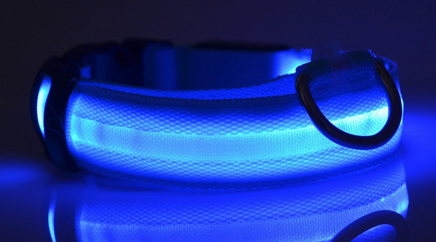 LED Dog Collar – Night Safety, Adjustable & Glow-in-the-Dark - Shop Happy Paws Now